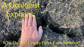 A Geologist Explains Why Soil Cracks Form Each Summer