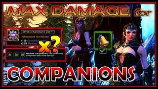 MAXING Companion DAMAGE! How many Warlord's & Indomitable's to Use? [CHECK COMMENTS] - Neverwinter