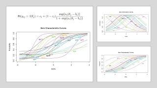 The Rasch model vs item response theory (IRT) | Part 2 of the session with Vahid Aryadoust