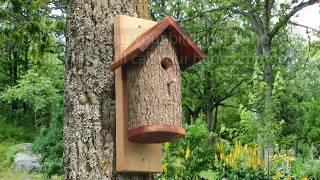 Homemade Bird Houses from a Natural Log (DIY Nesting Bird Box)