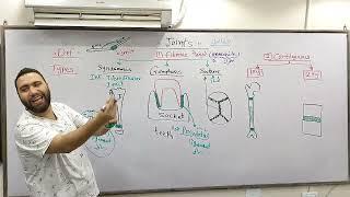 Basis Anatomy (JOINTS) 197 القصر العينى