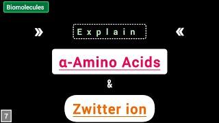 What are α-Amino Acids? Explain Zwitter ion for exam