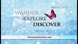 Wander Explore Discover