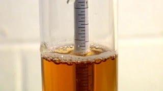 How to Use a Hydrometer for Homebrewing