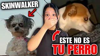 CUIDADO ESTE NO ES TU PERRO!! ES UN SKINWALKER ANIMALES ACTUANDO COMO HUMANOS| Regina MH