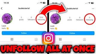 How to Unfollow Everyone on Instagram at ONCE (2024)
