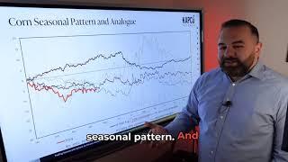 Weighted Analogue Approach to Seasonal Patterns