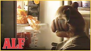 ALF Goes on a Diet | S4 Ep22 Clip