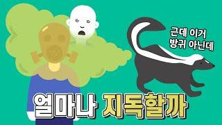 스컹크의 방귀 냄새는 얼마나 지독할까