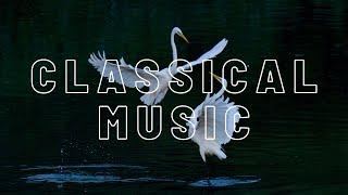 Сlassical music out of time.