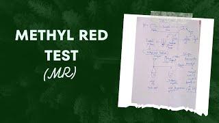 methyl red test|| MR test || Biochemical test in microbiology