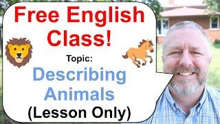 Let's Learn English! Topic: Describing Animals!  (Lesson Only)