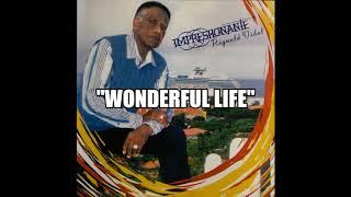 Rignald Vidal - Wonderful Life