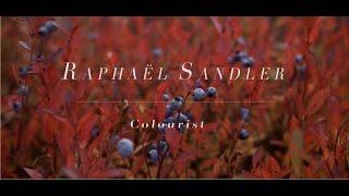 Raphaël Sandler - Colourist (2020 Reel)