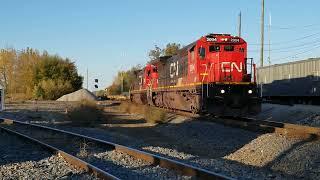 CN C40-8's return to Chicagoland leading! CN X724 and more at Spaulding and Aurora