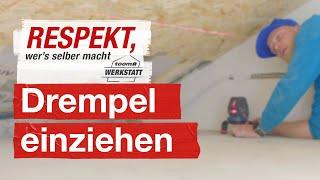 Drempel richtig einziehen | toom Werkstatt