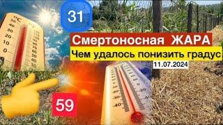 ЛЮДИ ПОКИНУТ ЭТО ЗЕМЛЮ юго-восток Украины//Победить не возможно- нужно научиться жить