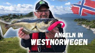 Angeln in Norwegen - so fängst du Pollack, Leng und Co. in Westnorwegen.