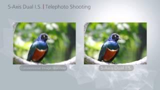 Panasonic LUMIX Dual Image Stabilization Technology - How it Works