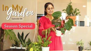 Plant Shopping: What did I get after 1.5 years | Ep.6 | In My Garden | Season Special | #gardenup