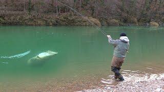 Pecanje mladice na reci Kupi u Sloveniji - Varaličarenje | Slovenia - Hucho Hucho - Danube salmon