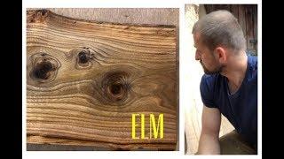 Things you should know about Elm wood!