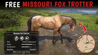 How To Get Free Missouri Fox Trotter Horse With Location - RDR2