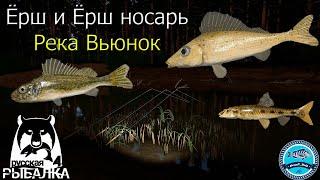 Ёрш носарь и просто ёрш на реке Вьюнок - Русская Рыбалка 4