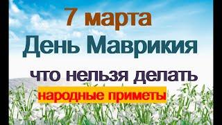 7 марта-МАВРИКИЕВ ДЕНЬ.Черная уха. Что не делают в полнолуние.Не гадайте на любовь.Народные приметы