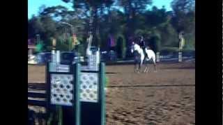 Rio's Roca- Hunter/Medal Horse For Sale- SOLD!