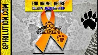 (GLOBAL MASS MEDITATION MUSIC) END ANIMAL ABUSE FORMULA  COLLECTIVE CONSCIOUSNESS EDITION