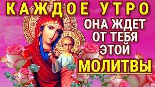 КАЖДОЕ УТРО БОГОРОДИЦА ЖДЁТ ОТ ТЕБЯ ЭТОЙ МОЛИТВЫ Слова мольбы обращенные к ней имеют великую силу