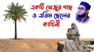 mufti mawlana shahidur rahman mahmudabadi bangla waz download | BD WAZ খেজুর গাছ ও এতিম ছেলের কাহিনী