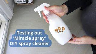 Testing out 'Miracle spray' DIY spray cleaner recipe