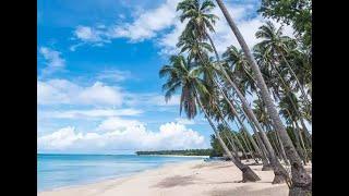 Relaxing Music with Palm Trees 4k ˑ breathtaking beaches ˑ Beautiful Piano Music Stress Relief Study