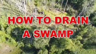 How to Drain a Swamp  [ 8-11-2020 ]