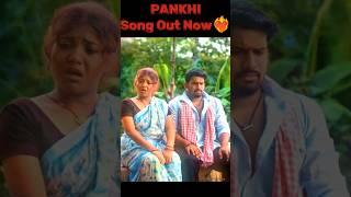 Pankhi Chalauchu | Trending Odia Song | #anuguliabanty #popularsong #viralsong #instareels #newsong