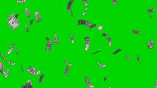 GREEN SCREEN MONEY RAIN