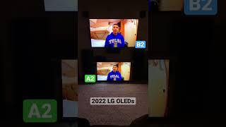 LG A2 vs. B2 OLED Brightness  Which model seems brighter to the naked eye?  #shorts