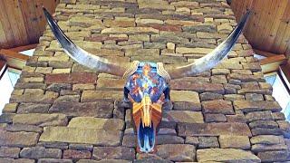 Painting a Steer Skull