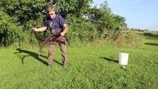 Long Range Remote Control Bownet Release by Noble Falconry