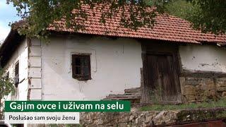 Gajim ovce i uživam na selu