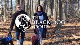 Meet The Black Dog Group