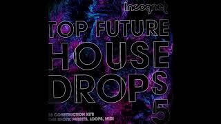 Top Future House Drops Vol.5 Samples [Hexagon, Spinnin, Reveal] + Free Samples