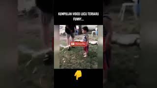 kumpulan video lucu terbaru