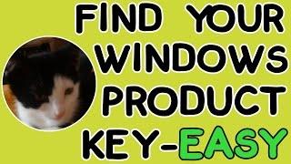 Find Your Windows 7, 8 &10 Product Key - EASY