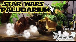 Creating a Star Wars-Inspired Paludarium with @UltumNatureSystems 45E Aquarium