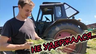 ДЕРЕВЕНСКОЕ БОГАТСТВО // Строим // Косим // Сажаем // Стадо коров // Семья Лях