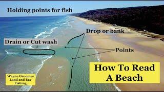 How to Read a Beach.... Gutters, Rips and more.