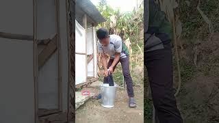 Nagamese funny video//@IMBchann